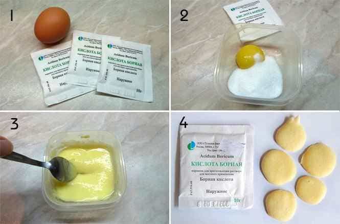 Как сделать яичную отраву для тараканов с использованием борной кислоты